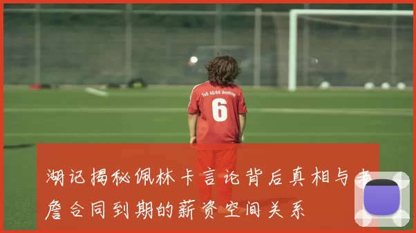 湖记揭秘佩林卡言论背后真相与老詹合同到期的薪资空间关系