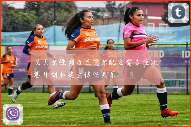 戈贝尔强调与兰德尔配合需专注比赛计划和建立信任关系